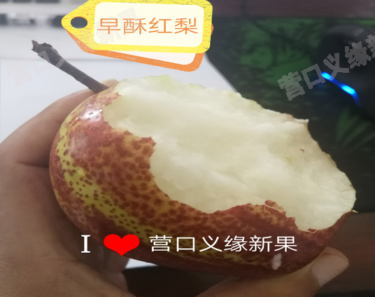 紅(hóng)肉蘋果苗哪家好(hǎo)